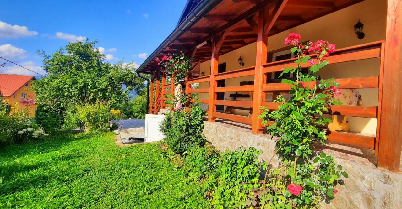 Casa Andreea Si Grigore Ursu Borsa  Exterior photo