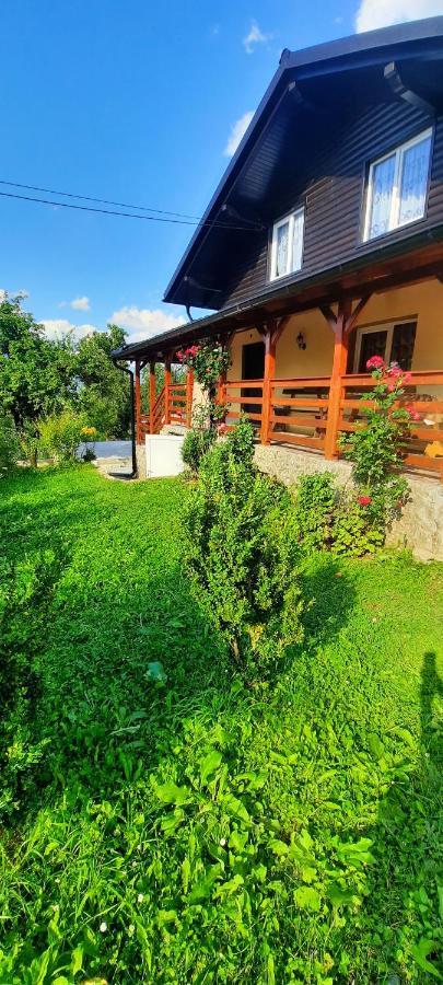 Casa Andreea Si Grigore Ursu Borsa  Exterior photo